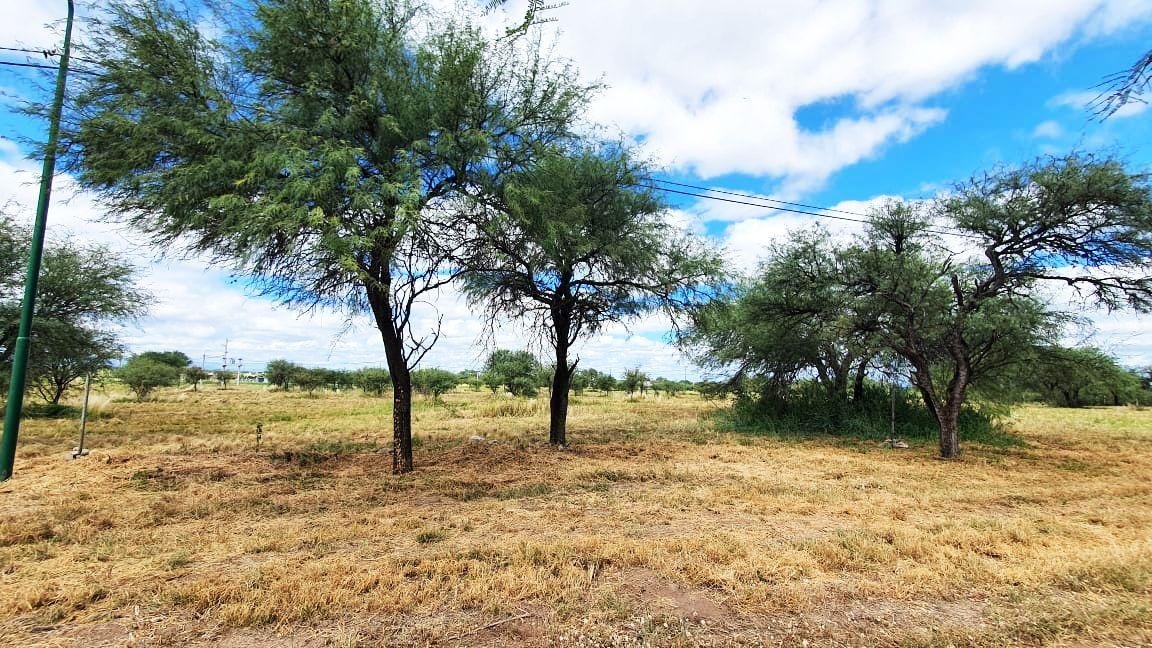 terreno-venta-algarrobo-abuelo-merlo-terreno-3-1000-m2-estan